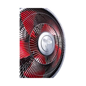 Wall Fan Support Mural